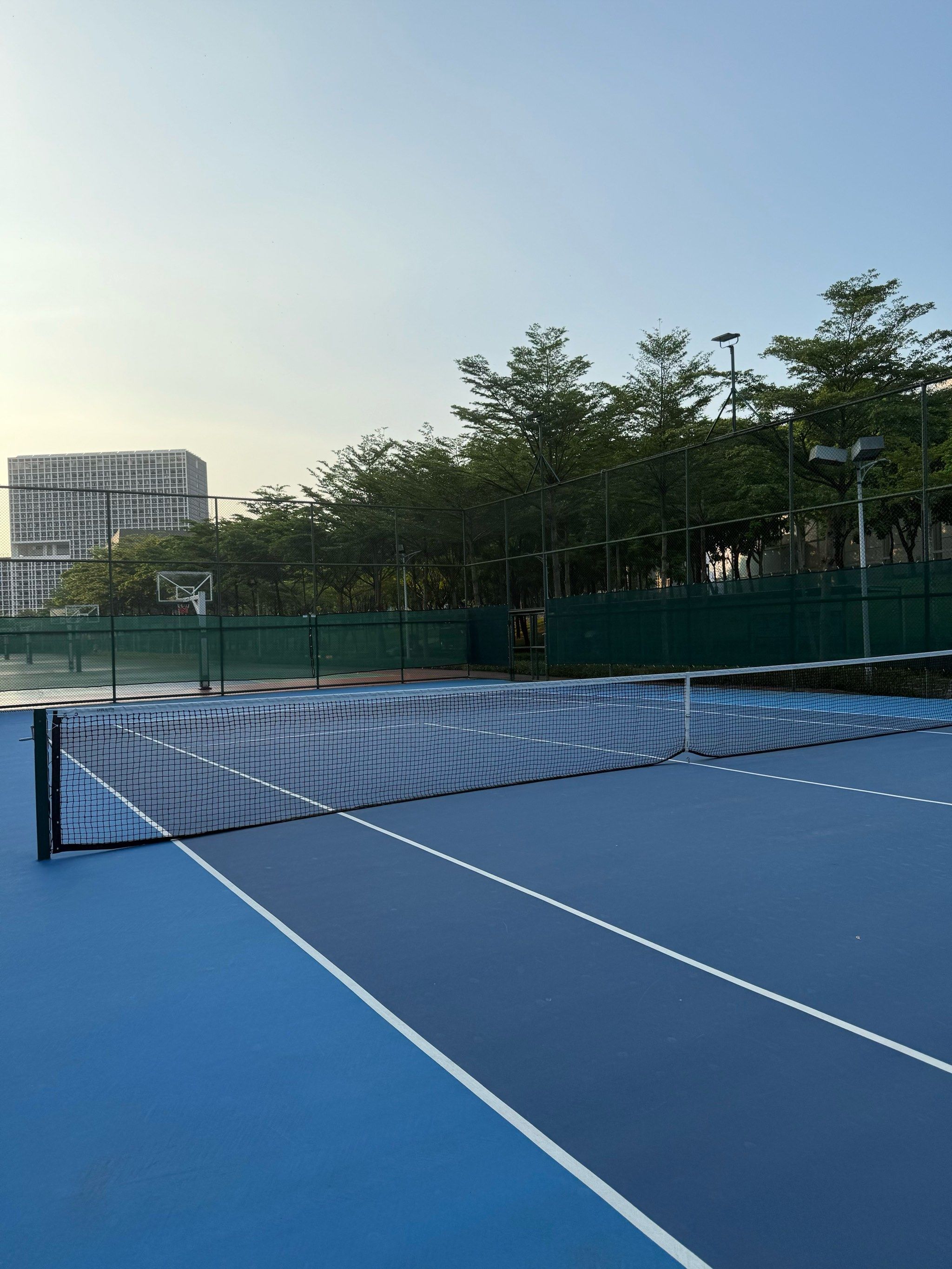 不仅展示了 不仅展示了