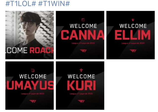 锁定成长红 锁定成长红